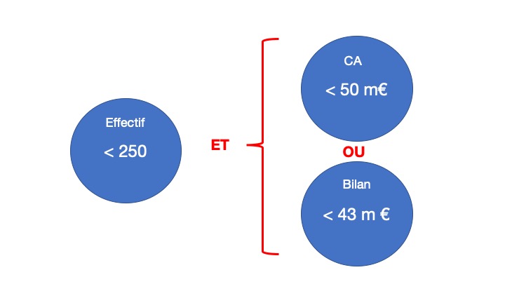 Schéma simplifié du statut PME