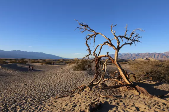 La vallée de la mort, comment la traverser et y survivre